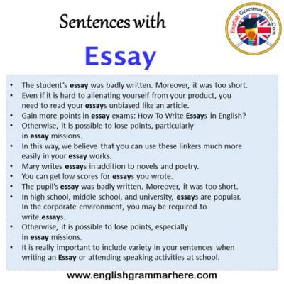 how many sentences is an essay